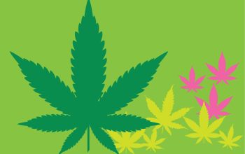 Tyson Ranch Cannabis Brand Reviews